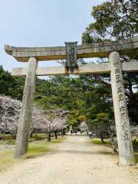【山口県】毛利元就など歴代の藩主を祀る志都岐山神社