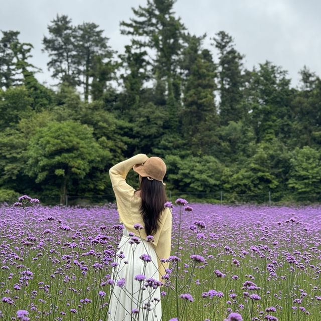 비오는 날에 방문해도 아름다운 감성 카페 ✨