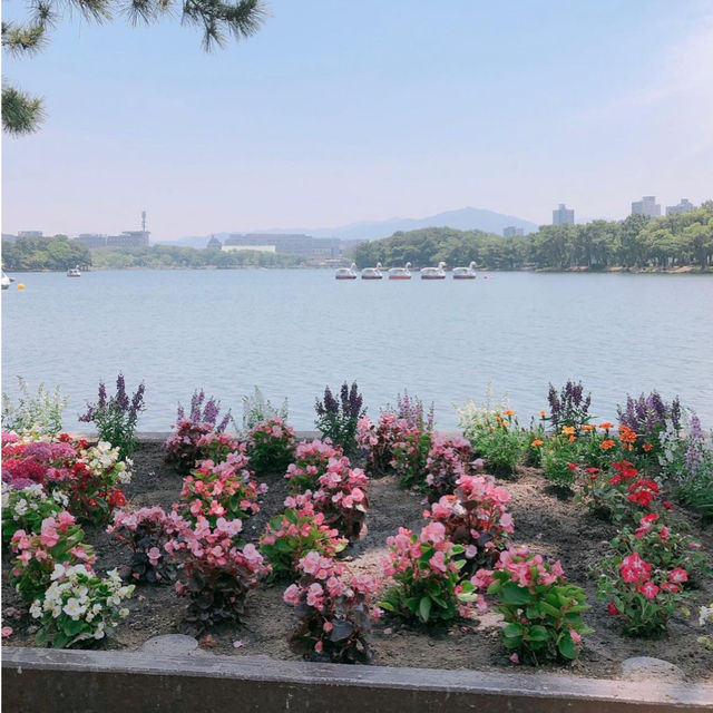 【福岡グルメ】大濠公園を眺めながらランチができるよ