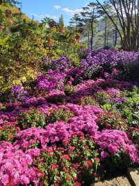 Hwadam Botanical Garden