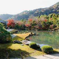 【京都観光】世界文化遺産である天龍寺