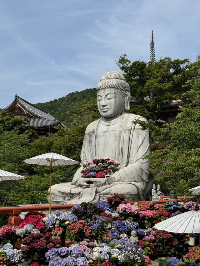 【奈良】桜の名所は新緑も美しい
