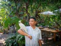 คาเฟ่และร้านอาหารใจกลางกรุง บรรยากาศสวนป่า 🌳🌳
