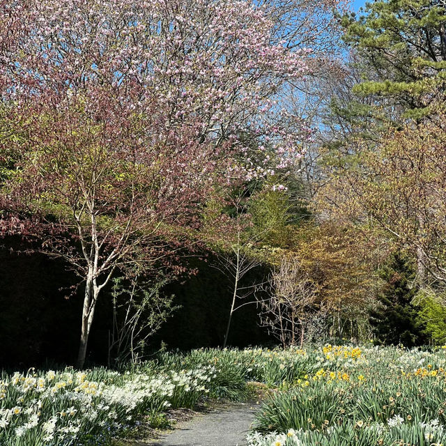 正東津雕塑公園：亞洲最大戶外雕塑展示園，適合多元化文化體驗