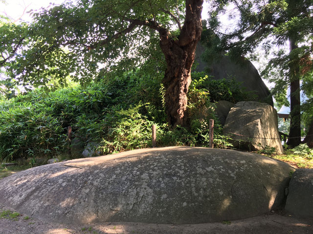 探索盛岡城跡：歷史與自然的完美融合