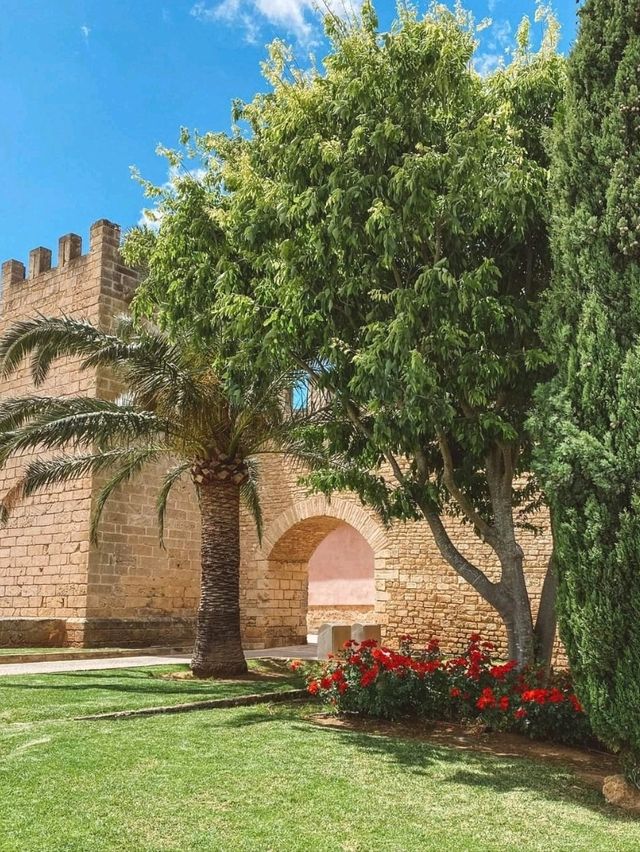 【西班牙馬略卡島】Alcúdia：海灘，市場，四季好天氣