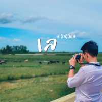 พัทลุงไม่ใช่แค่เมืองทางผ่าน เพราะมี เขา ป่า นา เล 