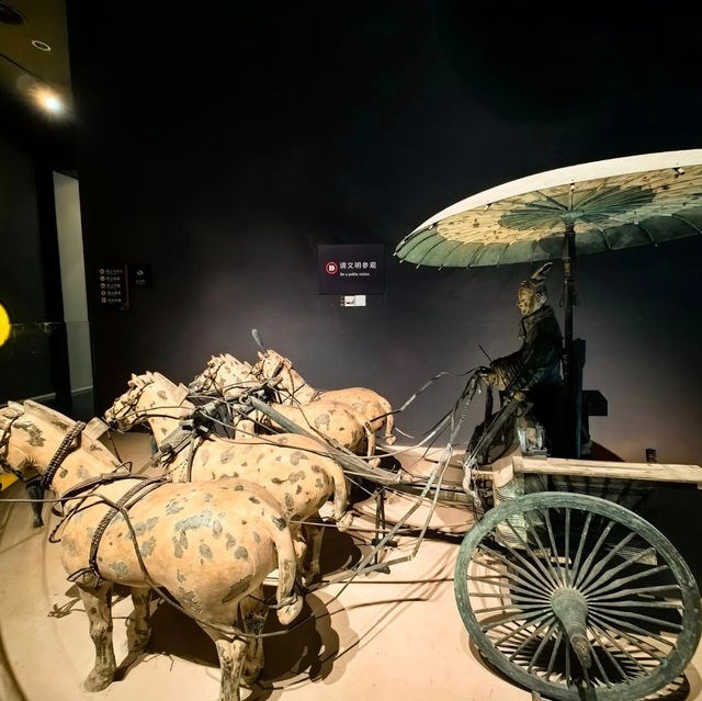 A Fascinating Visit to the China Umbrella Museum