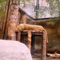 【北海道/旭川　動物達の行動を間近で見られる工夫を凝らした動物園】