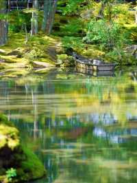 一度は行きたい京都の苔寺🌿西芳寺🌿