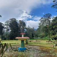 Victoria Park's Verdant Charm: Nuwara Eliya's Hidden Haven