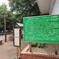 일본여행 홋카이도대학 식물원 北海道大学 植物園