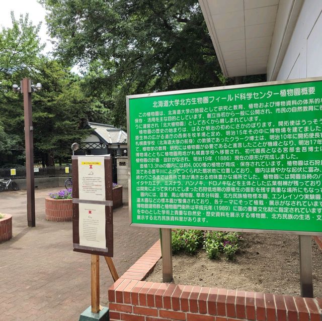 일본여행 홋카이도대학 식물원 北海道大学 植物園