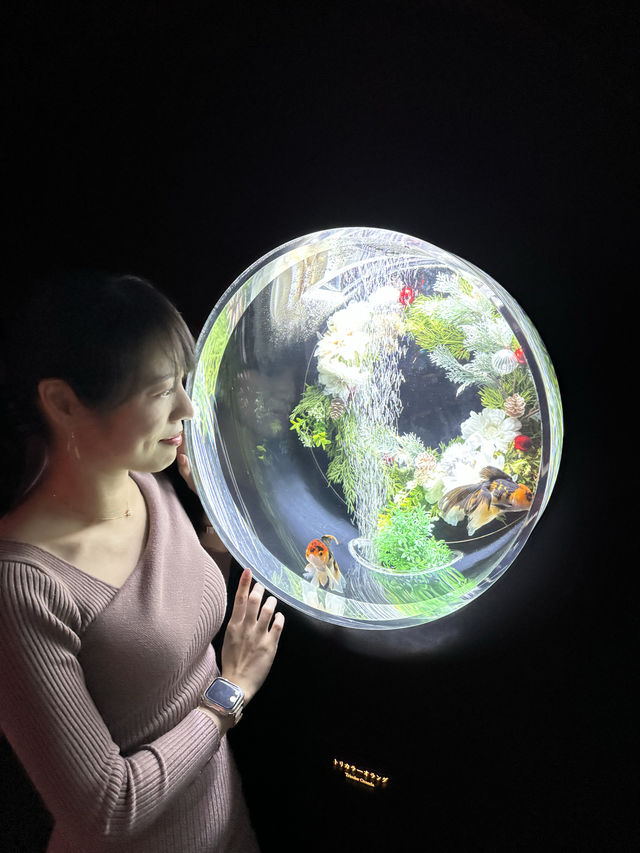 〜東京都〜銀座デートならココ！星降る銀座アクアリウム✨