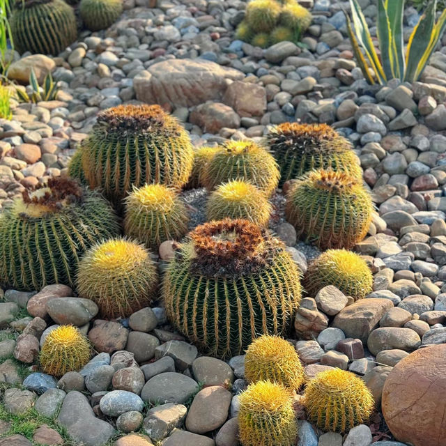 新加坡裕廊湖花園：熱帶仙境