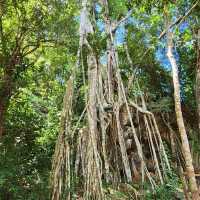 新加坡裕廊湖花園：熱帶仙境