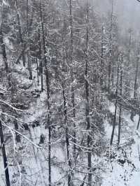 นั่งกระเช้าชมภูเขาที่มะที่ต๋ากู่ปิงชวน 🇨🇳❄️