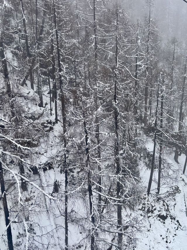 นั่งกระเช้าชมภูเขาที่มะที่ต๋ากู่ปิงชวน 🇨🇳❄️