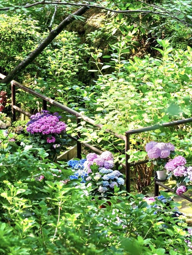 〜奈良県〜長谷寺