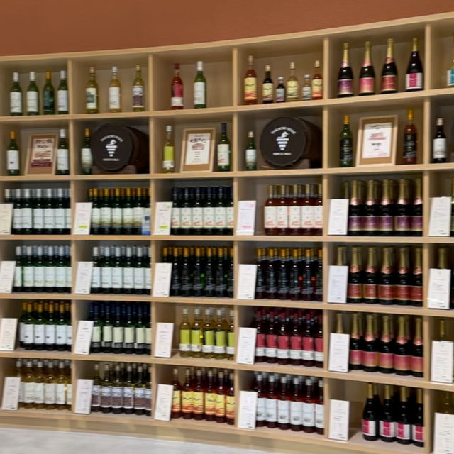 【北海道/池田町】ワイン城で無料の城内ツアーに参加🍷
