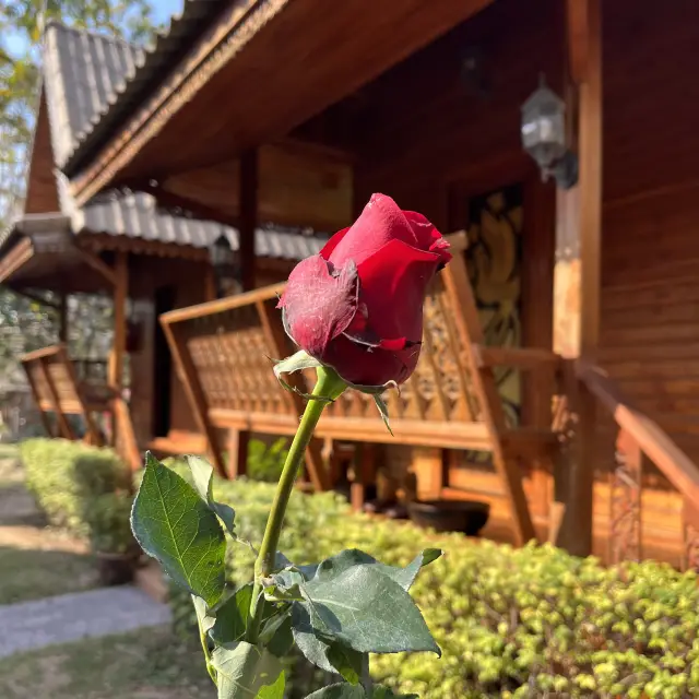 芭達雅Grace Spa，含接送服務