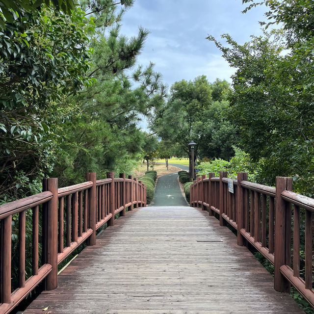 서귀포에서 힐링하기 - 요가하고🧘‍♀️갈치조림 먹고 올레길 걷기🚶‍♀️