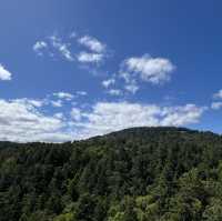 Malahat Skywalk-breathtaking views!! 