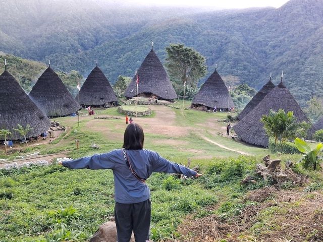 【インドネシア】コモド島周辺でのんびりひとり旅