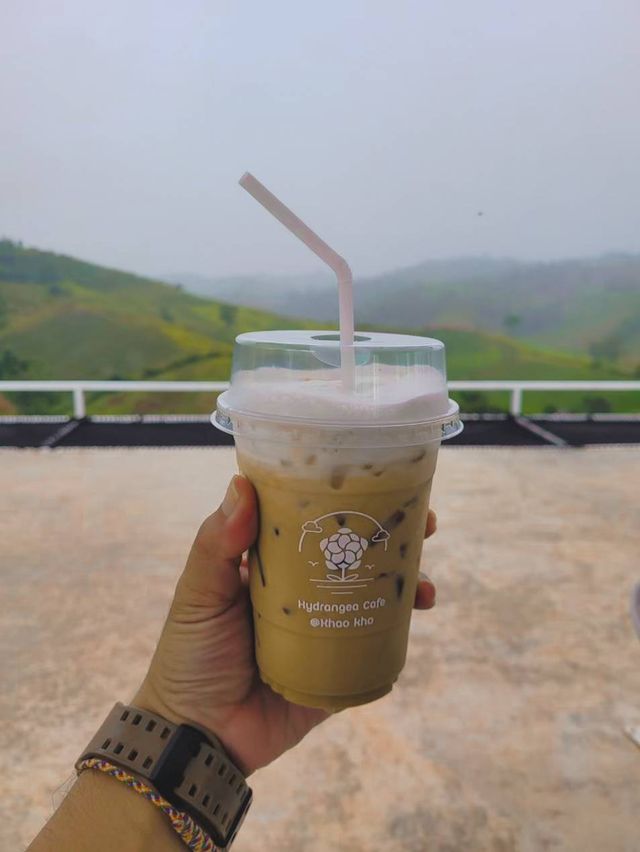 ไฮเดรนเยียคาเฟ่ เขาค้อ