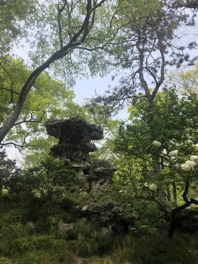 Humble Administrator’s Garden in Suzhou 🇨🇳