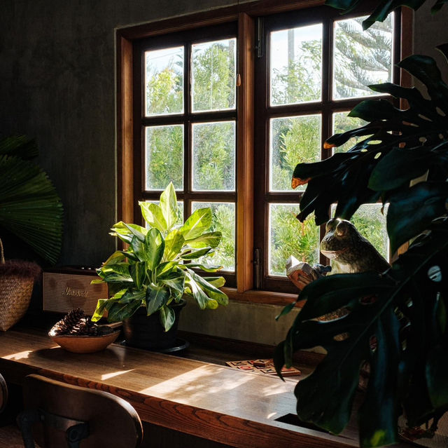 BARN Klong Suan คาเฟ่สมุทรปราการ