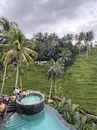 【烏布克里塔Cretya Ubud ，高級的俱樂部，對着梯田的景色！】