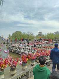 集當代書法大全藝術風采：中國翰園