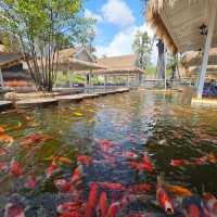 ป้าบุญคาเฟ่