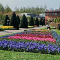 Keukenhof Gardens, Netherlands – Tulip Blossom Festival