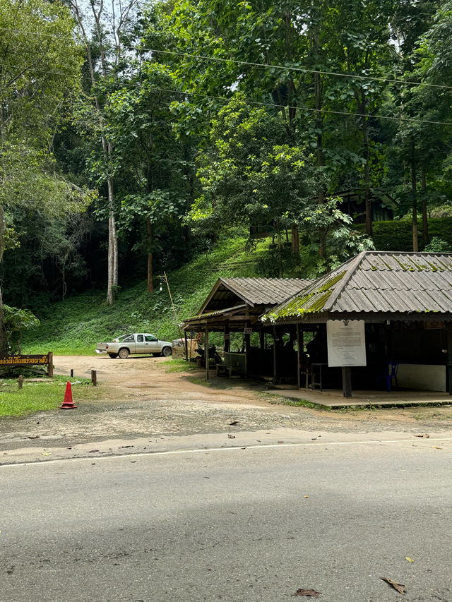 แหล่งผีเสื้อ | อ.เชียงดาว 🏡🌿🌧️🦋