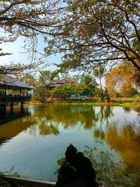 อาหารอีสานเจ้าดังโคกสำโรง