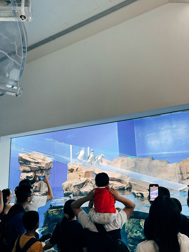 桃園青埔Xpark 水族館🐠台灣首座新都會型水生公園