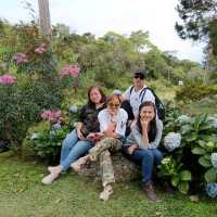Spring Garden Kundasang, A Slice of Nature's Paradise