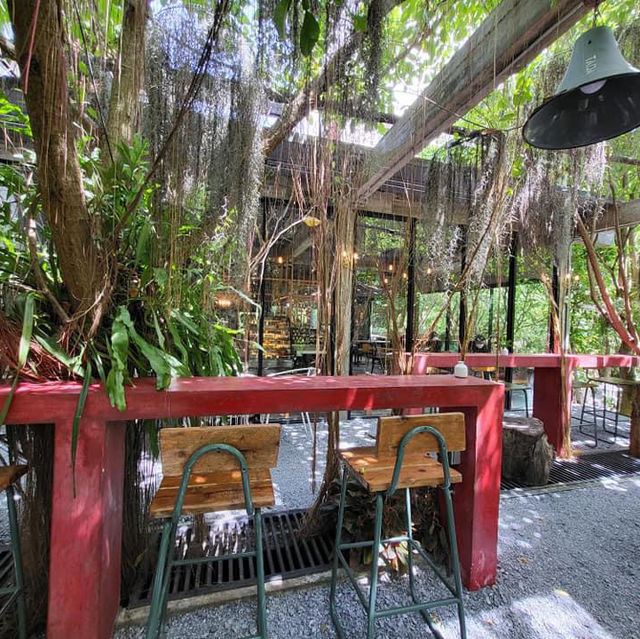🌳ป่าก์ Cafe’ 