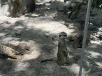 台北市立動物園—児童動物区：学びと自然が響き合うエコパーク🐾