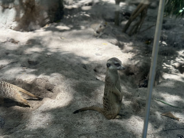 台北市立動物園—児童動物区：学びと自然が響き合うエコパーク🐾