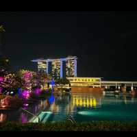 Rooftop bar with a nice view of Singapore 