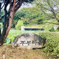 清州　この建物は必見！人文アーカイブ養林&カフェHUMANITAS 