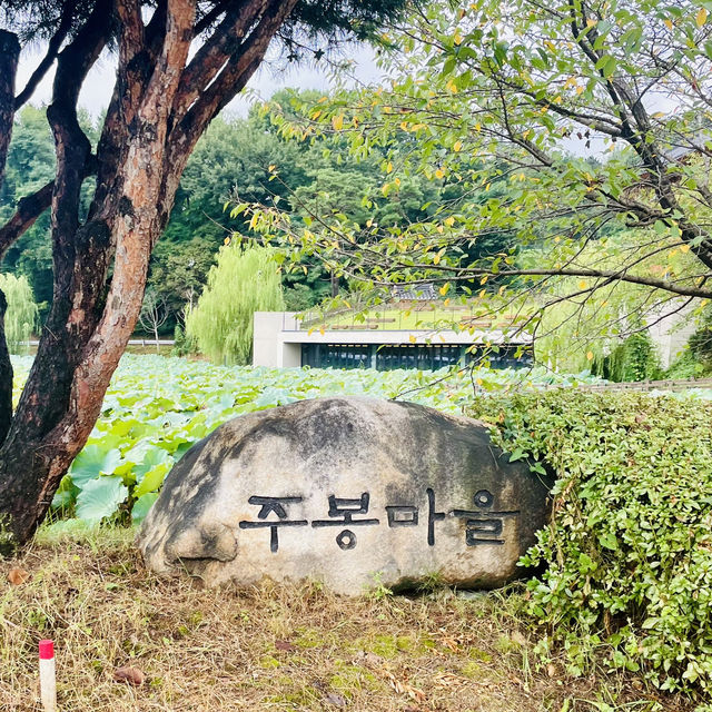 清州　この建物は必見！人文アーカイブ養林&カフェHUMANITAS 