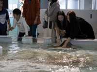 世界上最大水族館之一 大阪海遊館