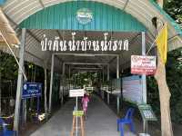 พายเรือ เล่นน้ำที่ป่าต้นน้ำบ้านราด จ.สุราษฎร์ธานี
