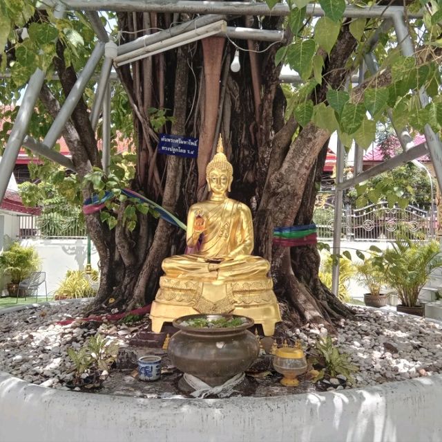 วัดสวยริมคลองผดุงกรุงเกษม✨️