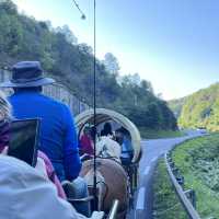 An one-of-a-kind experience in a forgotten city 