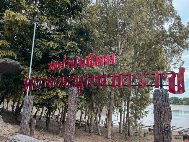 🚩 วัดป่าปากโดม 